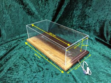 Exklusive Vitrine aus massiv Nussbaum für Modellautos mit LED-Beleuchtung M 1:18